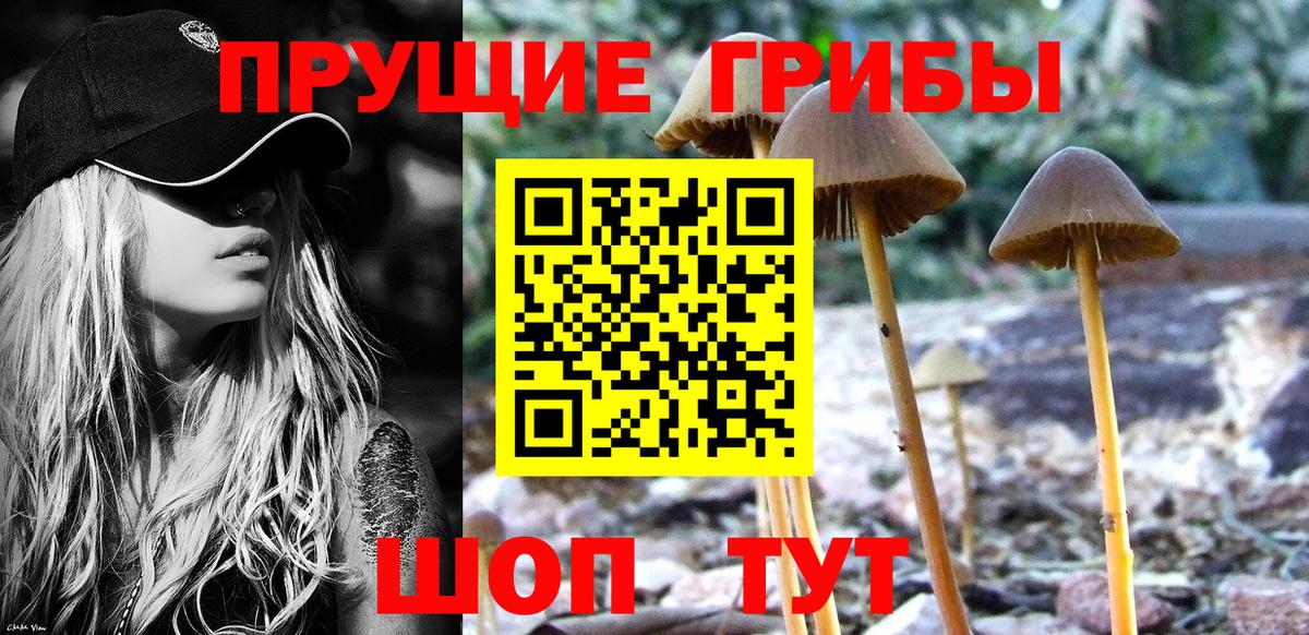 Калининград  Галлюциногенные грибы Cubensis  Галлюциногенные грибы Magic Shrooms  Вход с VPN 